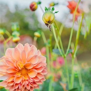 Meet your Posher, Christina